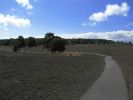 Devestation Trail